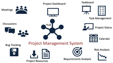 Software Management Systems in Modern Project Management