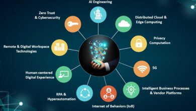 Software Management in 2025: Key Trends